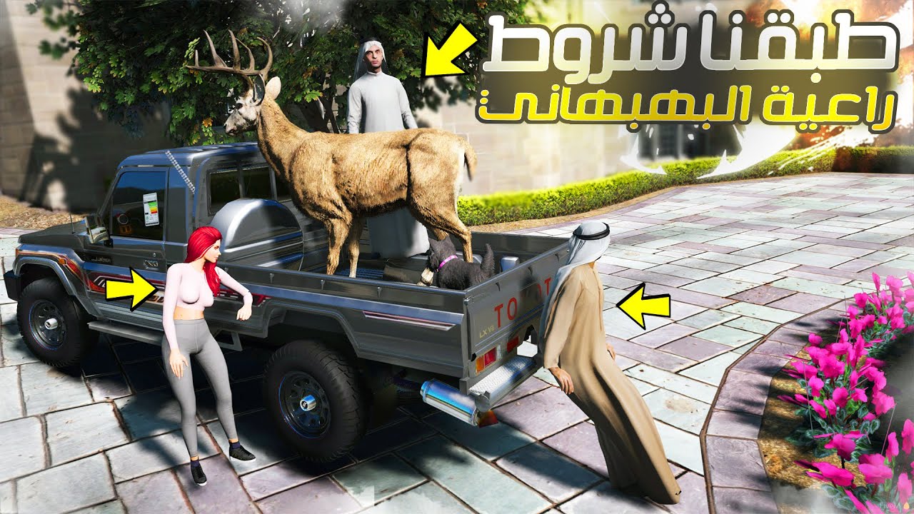 #116 - أبو مصلح 2 سوينا شروط راعية البهبهاني والعسكري تخرفن😍