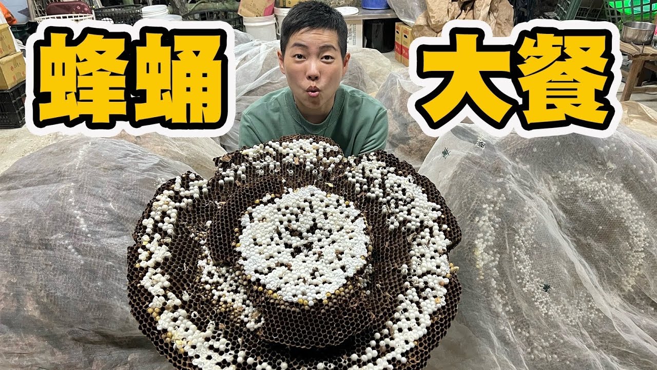 參觀捕蜂人工作室！拆解超大虎頭蜂窩！蜂蛹煎蛋 酥炸蜂蛹 蜂蛹蛤蜊湯！