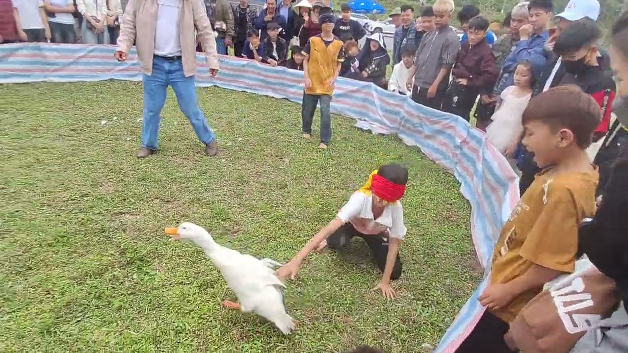 Khai hội chùa hương.bắt vịt