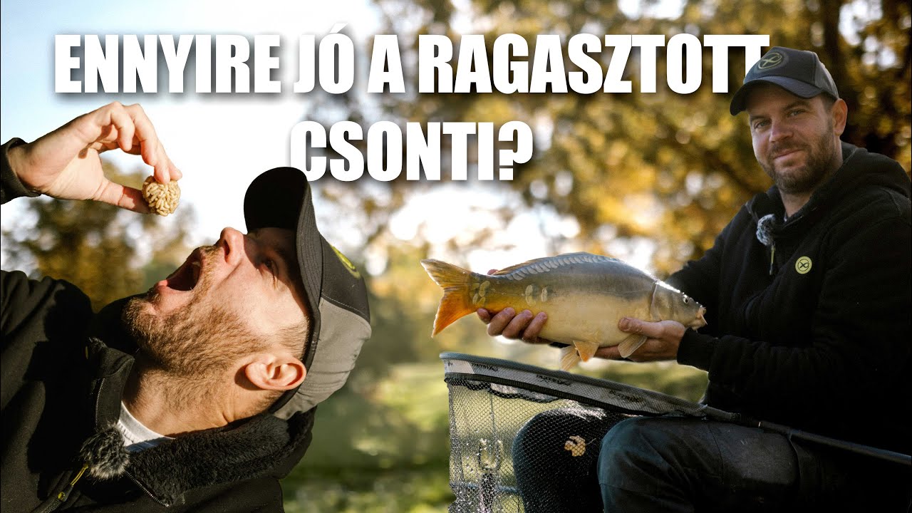 Ennyire Jó Lenne A Ragasztott Csonti? - Hogyan legyetek eredményesek ősszel