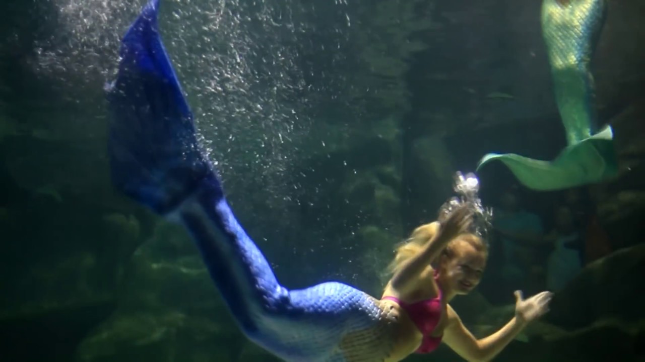 Ripleys Aquarium at Myrtle Beach SC, Mermaid Performance