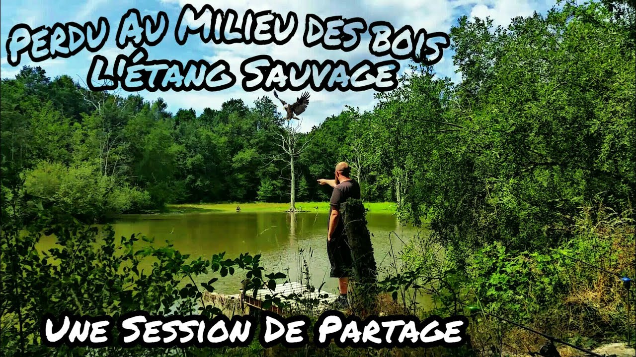 L'étang Sauvage : Perdu Au Milieu Des Bois