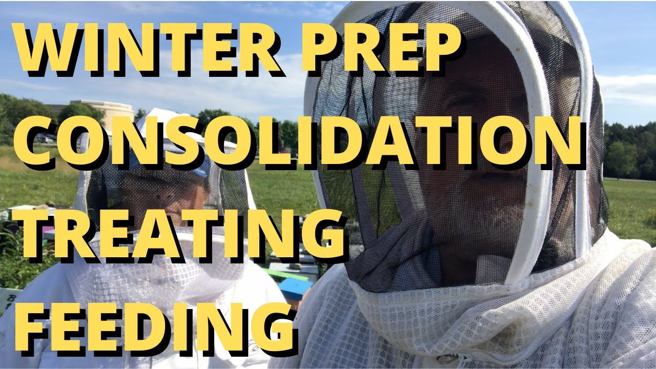 Winter prep consolidating, treating, feeding