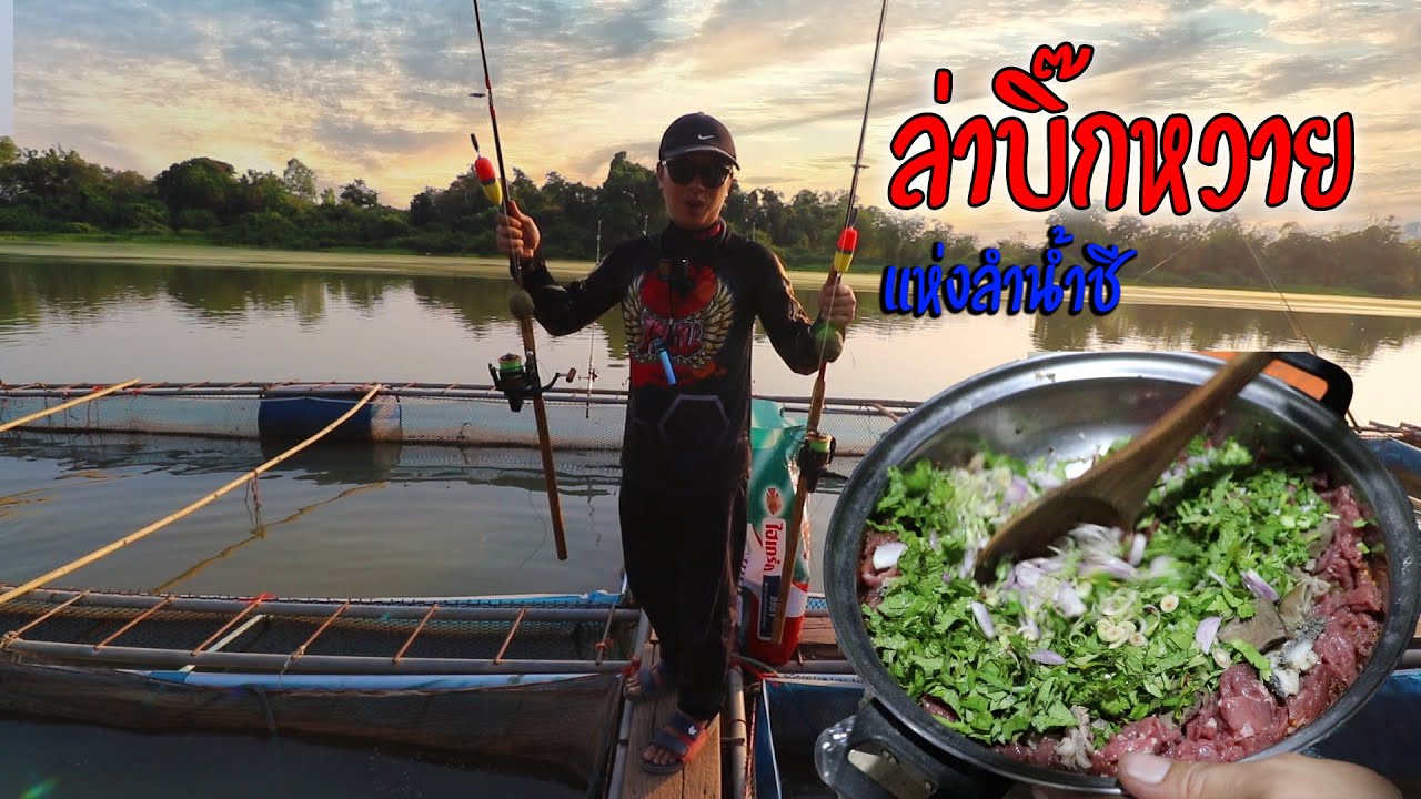 ตามล่าปลาบิ๊กหวายแห่งลำน้ำชี ของแพเลี้ยงปลาลากไปแล้ว P.NU FISHING