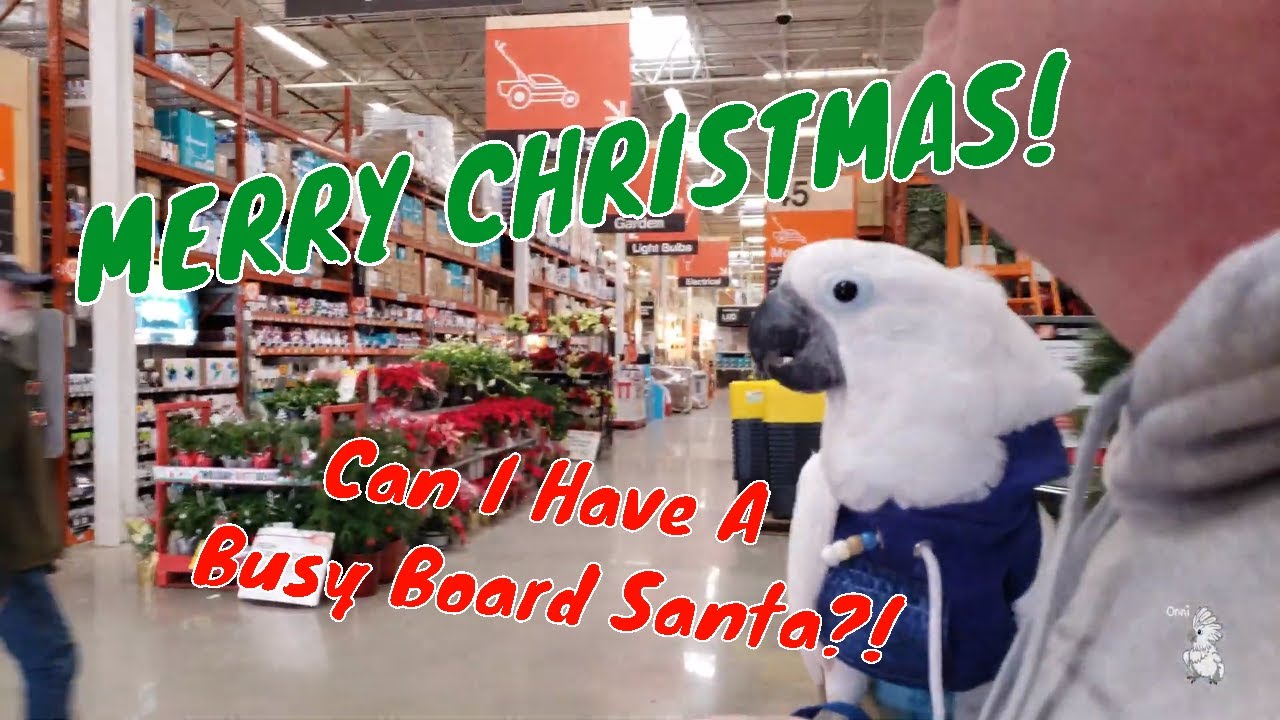Onni The Cockatoo Christmas Shopping