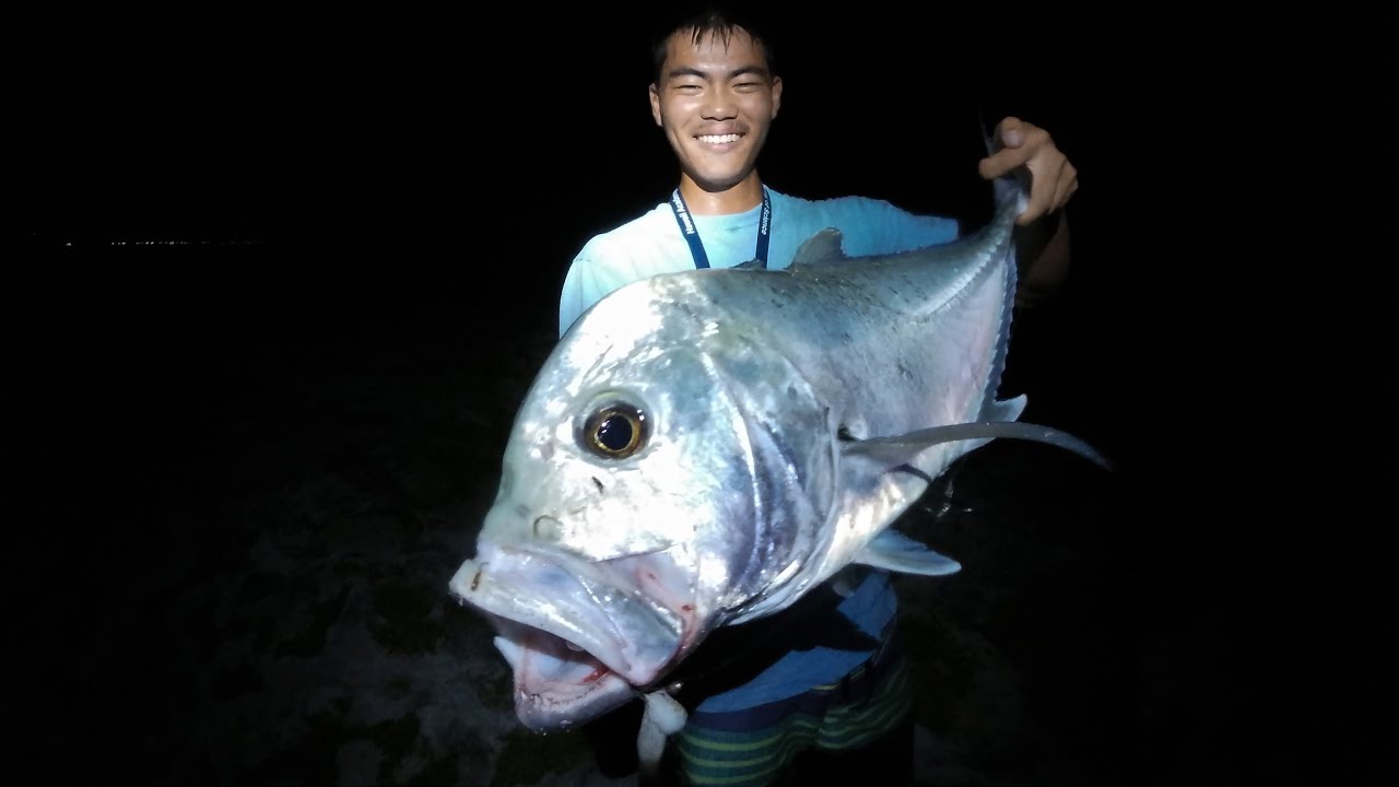 MY BIGGEST PAPIO!  | 11k Giveaway!