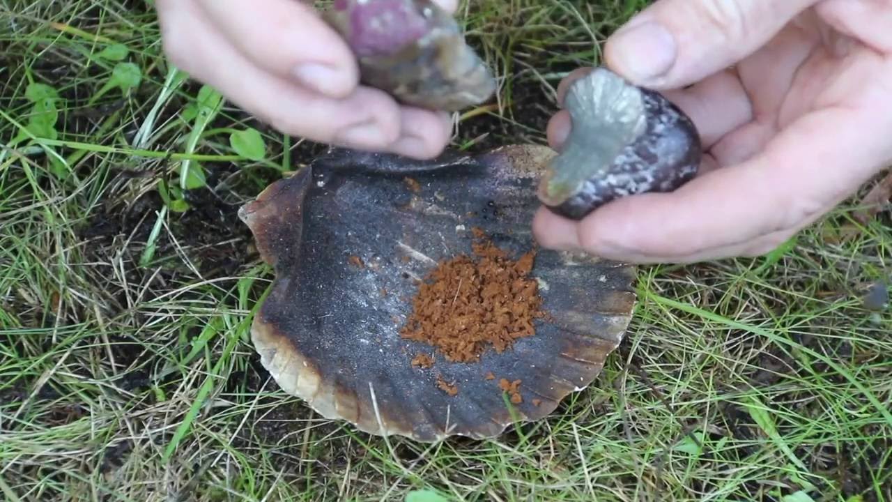 Le feu avec la Marcassite - feu préhistorique au silex