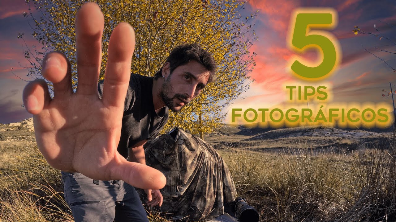 5 трюков, которые я использую, чтобы найти/сфотографировать фауну 📸✨