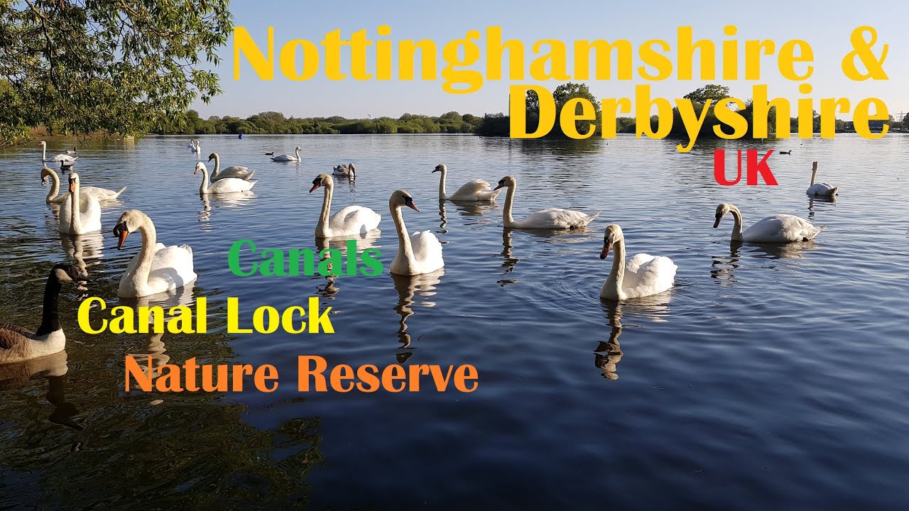 Beeston Lock, Attenborough Nature Reserve and Erewash Canal (Sandiacre), England United Kingdom