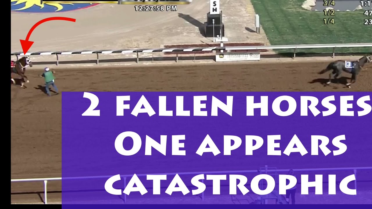 2 FALLEN HORSES Sunland, is 1 dead (CALICHE)? 1.11.22