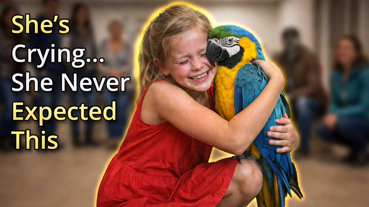 When Parrots Choose Their Humans...And THIS Beautiful Parrot Chose Her ❤️🦜😭 Adoption Tears