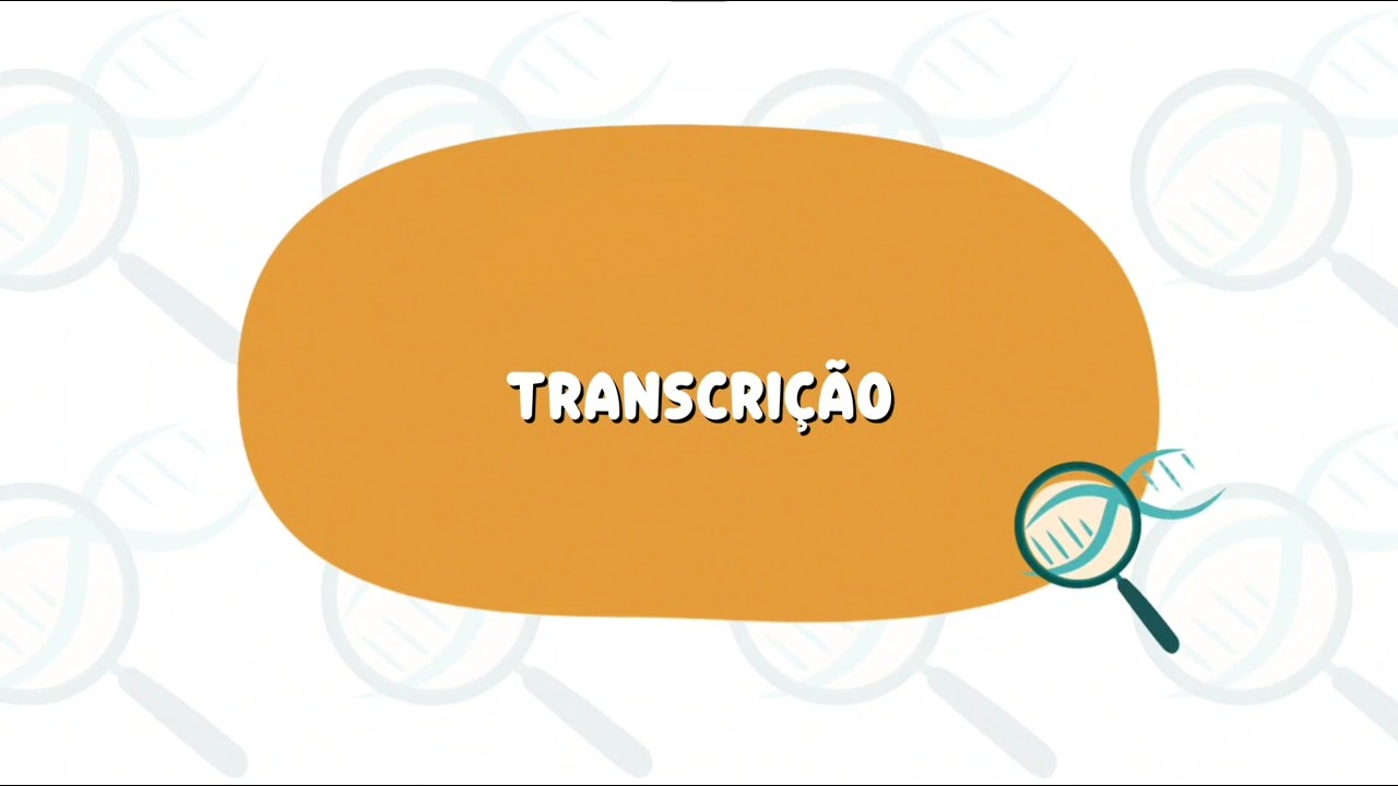 Transcrição