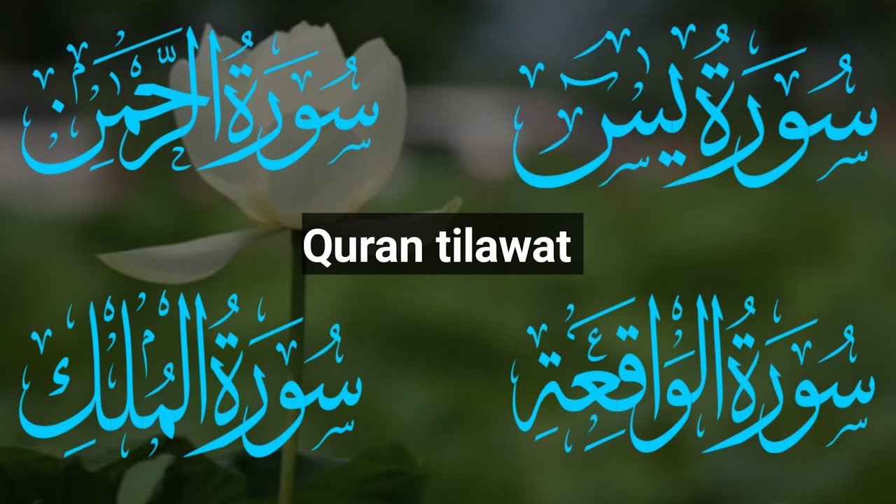 🕋The Heart of Quran Surah Yasin Surah Rahman Surah Waqiah Surah mulk Ep 45