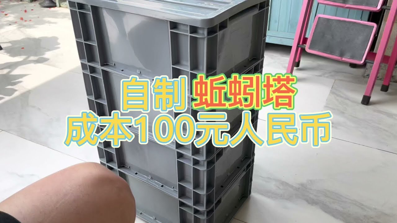 自制蚯蚓塔成本100元人民币