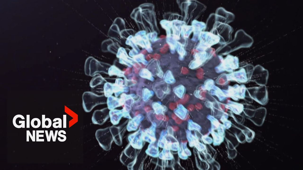 This H3N2 flu strain is spreading ‘rapidly’ in Canada. Why subclade K is hitting hard