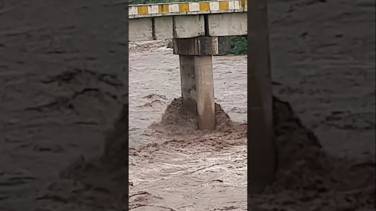 Flood 2025 #flood #in #river #cloudburst #heavyrain #bridge #2025 #viral #youtube #shortsfeed #1m