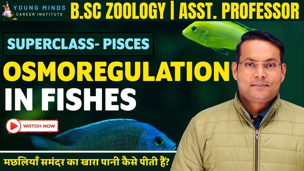 Osmoregulation in Fishes | Marine water and Fresh water Fish