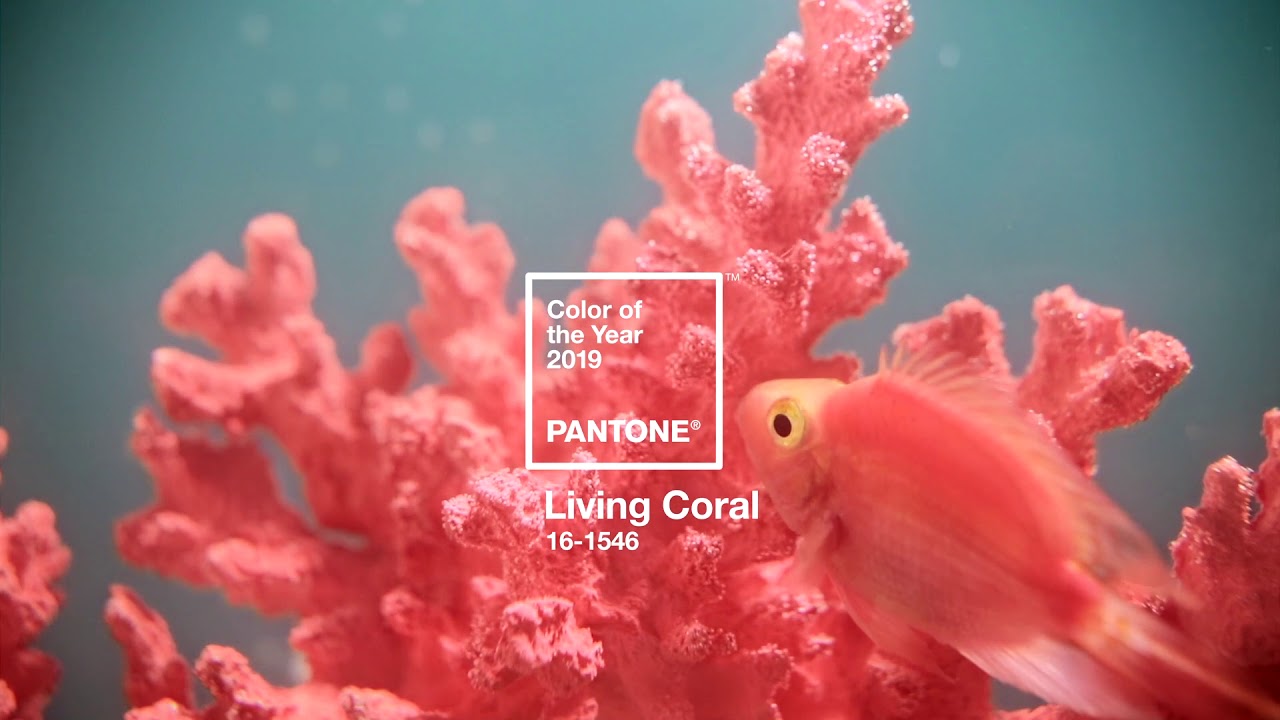 LIVING CORAL- 2019 PANTONE COLOR OF THE YEAR
