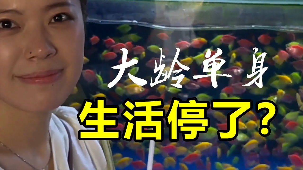 「我媽說：你可是985碩士啊！」——26歲女生在家待業第2年，第一次對我說出這句話時哭了