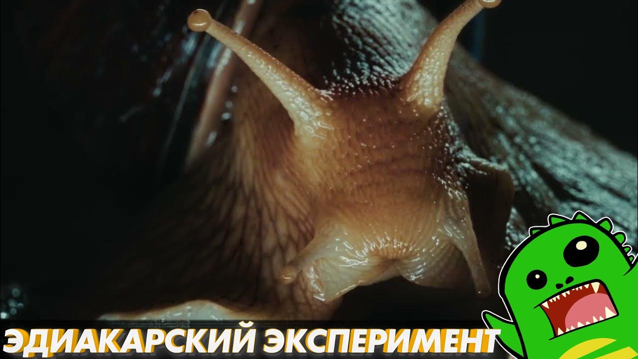 ЭДИАКАРСКИЙ ЭКСПЕРИМЕНТ - «По следам монстров» Серия 1