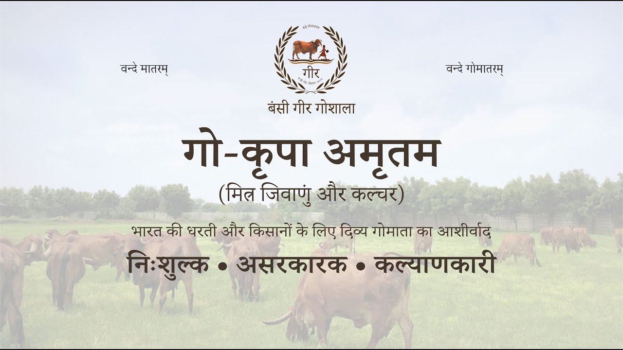 गो-कृपा अमृतम - भारत के किसानो के लिए क्रांतिकारी परिणाम - गोमाता का आशीर्वाद