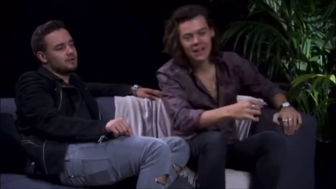Larry Stylinson Iconic and Adorable moments :)