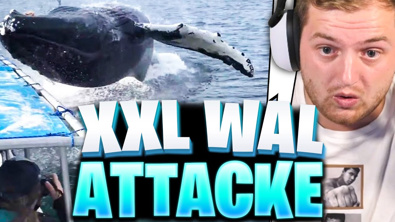 😨🥵SO EXTREM KNAPP... NEAR DEATH REAKTION!  | Trymacs Stream Highlights