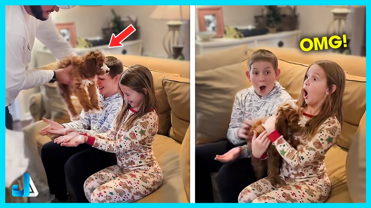 💕 New Puppy Surprise Compilation That Will Melt Your Heart 🐶