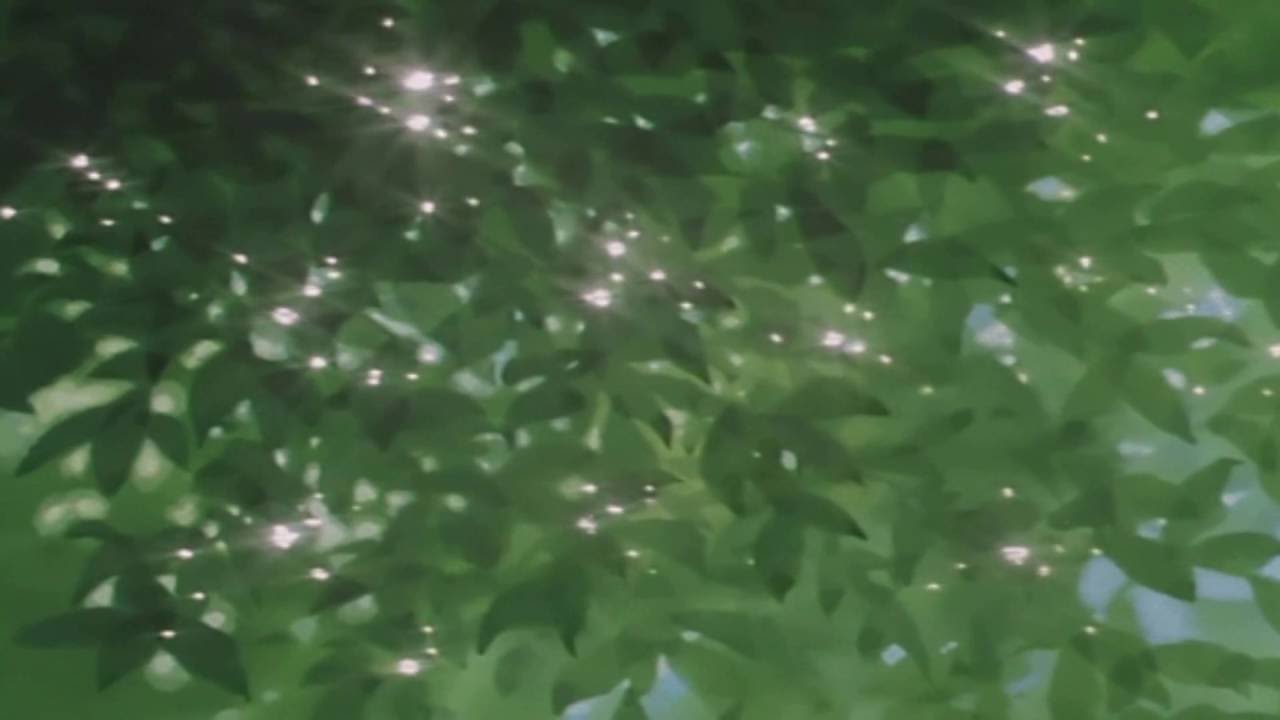 Memory Cards - Cascade