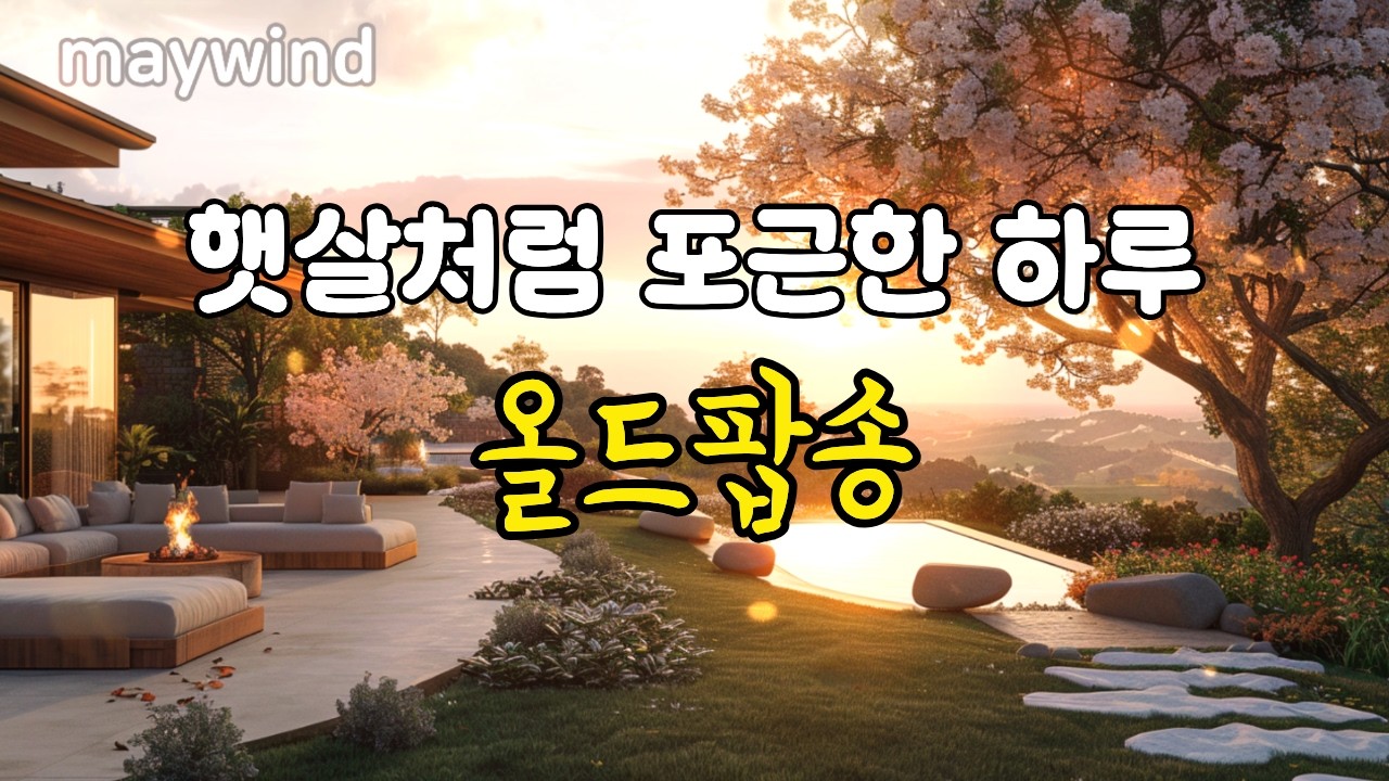 햇살처럼 포근한 하루 올드팝송 #oldpop #maywind #playlist