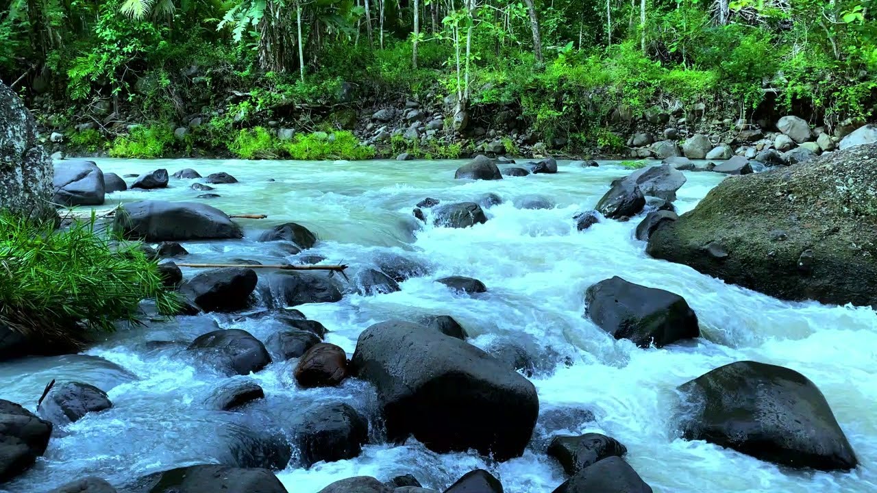 Soothing River Sounds for Meditation | Gentle Water Flow Ambience