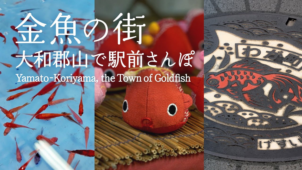 【奈良さんぽ】金魚が泳ぐ街？！大和郡山の商店街ぶらり歩き｜Yamato-Koriyama, the Town of Goldfish｜