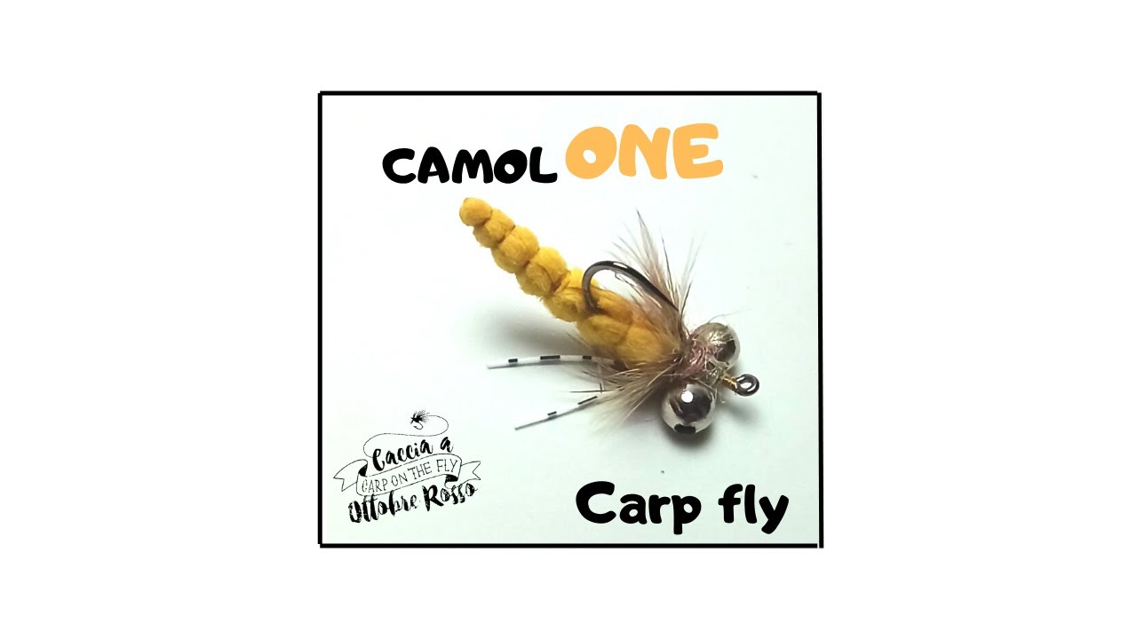 The CamolONE
