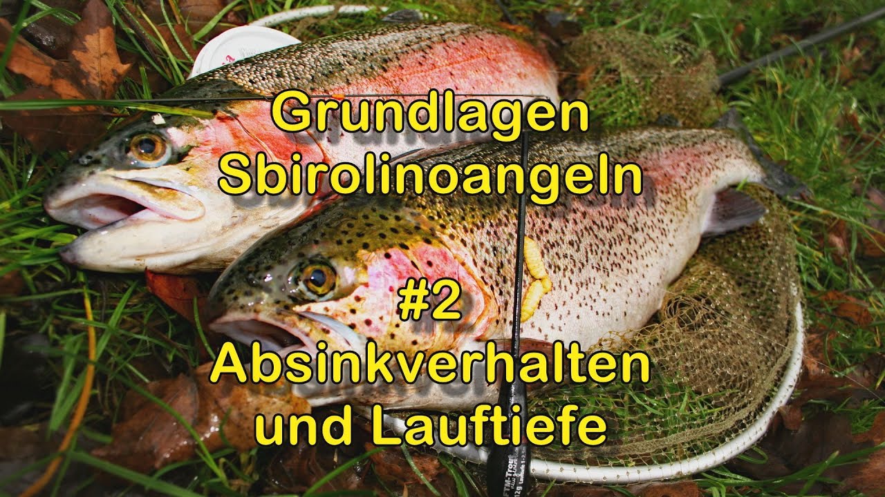 #2 Sbirolinoangeln - Absinkverhalten und Lauftiefe