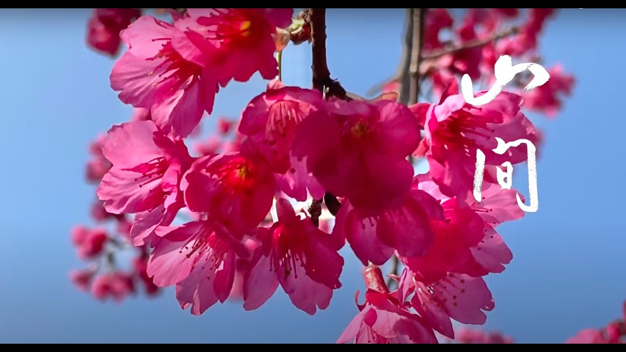 花半開生活美學館｜山間茶會