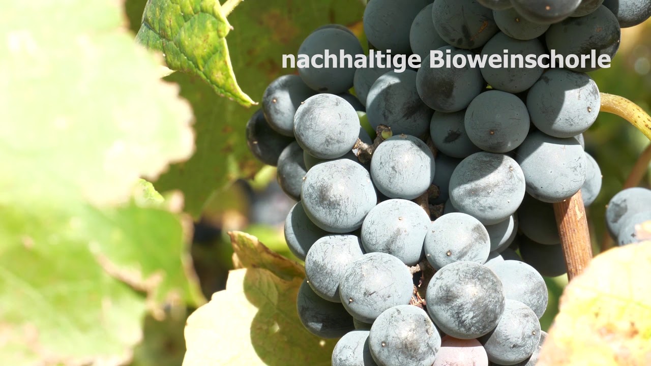 Biowein Parrethain