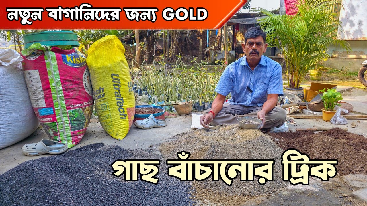 ফেলে দেওয়া জিনিস দিয়ে কিভাবে মিডিয়া তৈরি করবেন