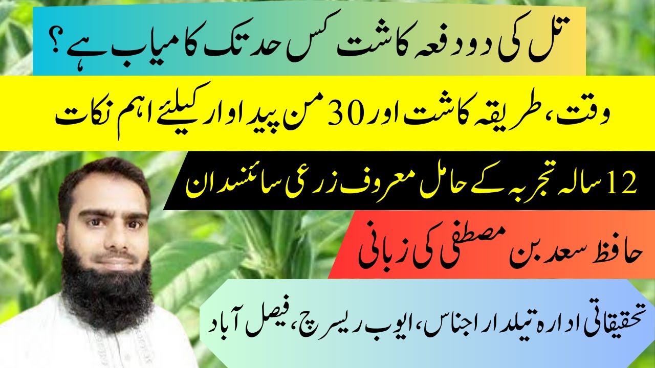 Feasibility of Sesame cultivation twice in a year 