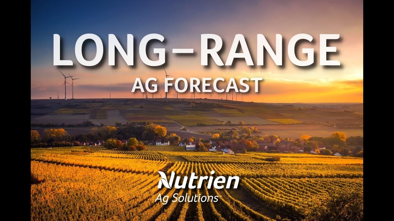 Long Range / Technical Analysis - March 25, 2020