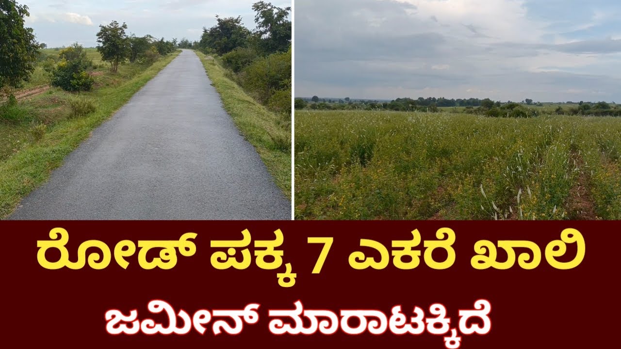 💰Investment ಗೆ ಸೂಕ್ತವಾದ ಹಾಗು AgricultureLand | Road Attach Property Near ChallakereChitradurga