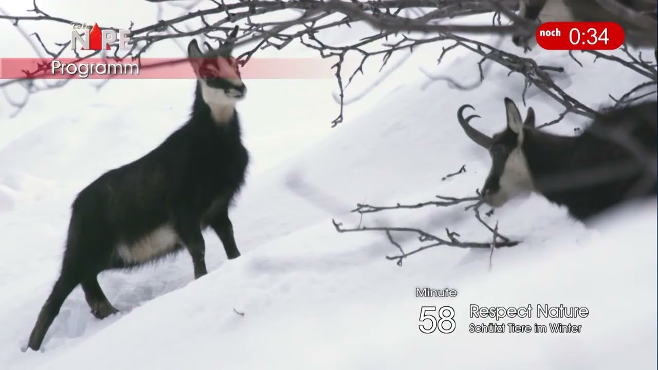 Heute auf TeleNapf Tele Zentralschweiz, Donnerstag, 29. Januar