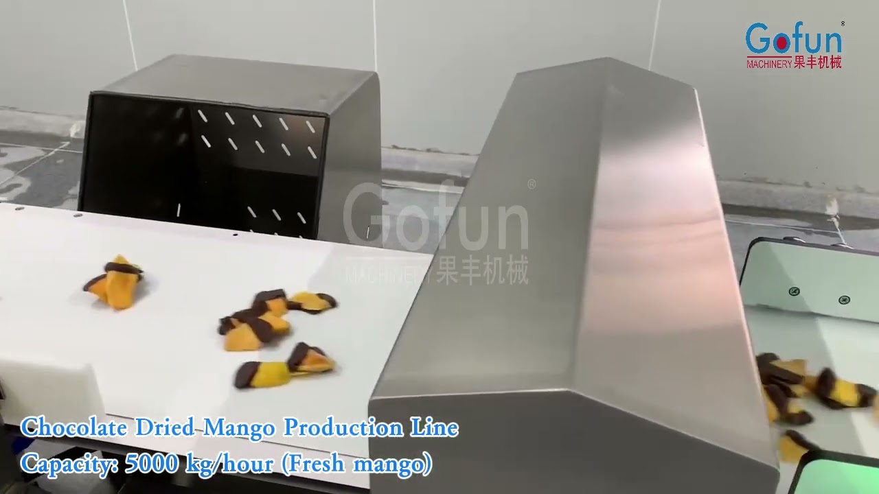 Industrial Mango Dried Processing Machine For Dried Fruits and Vegetables Production Line