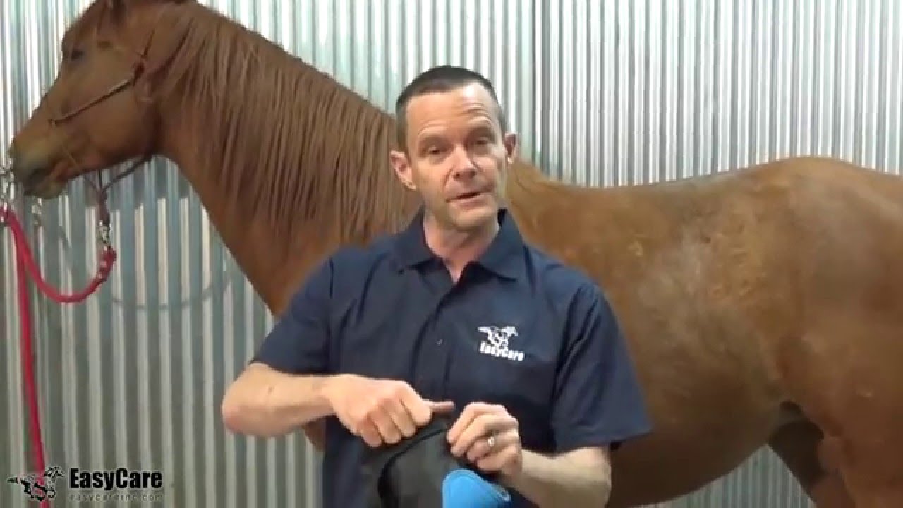 Hipposandale vétérinaire Zip