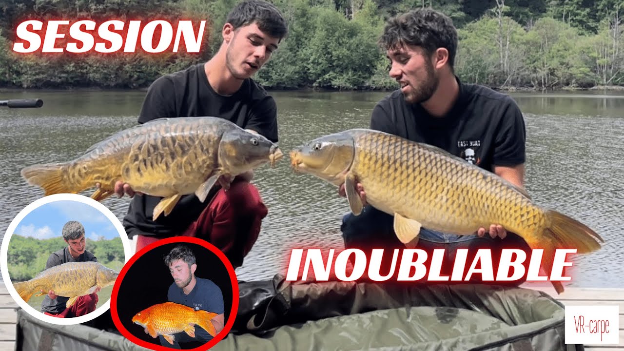 UNE SESSION INOUBLIABLE !! (72h de pêche à la carpe en été)