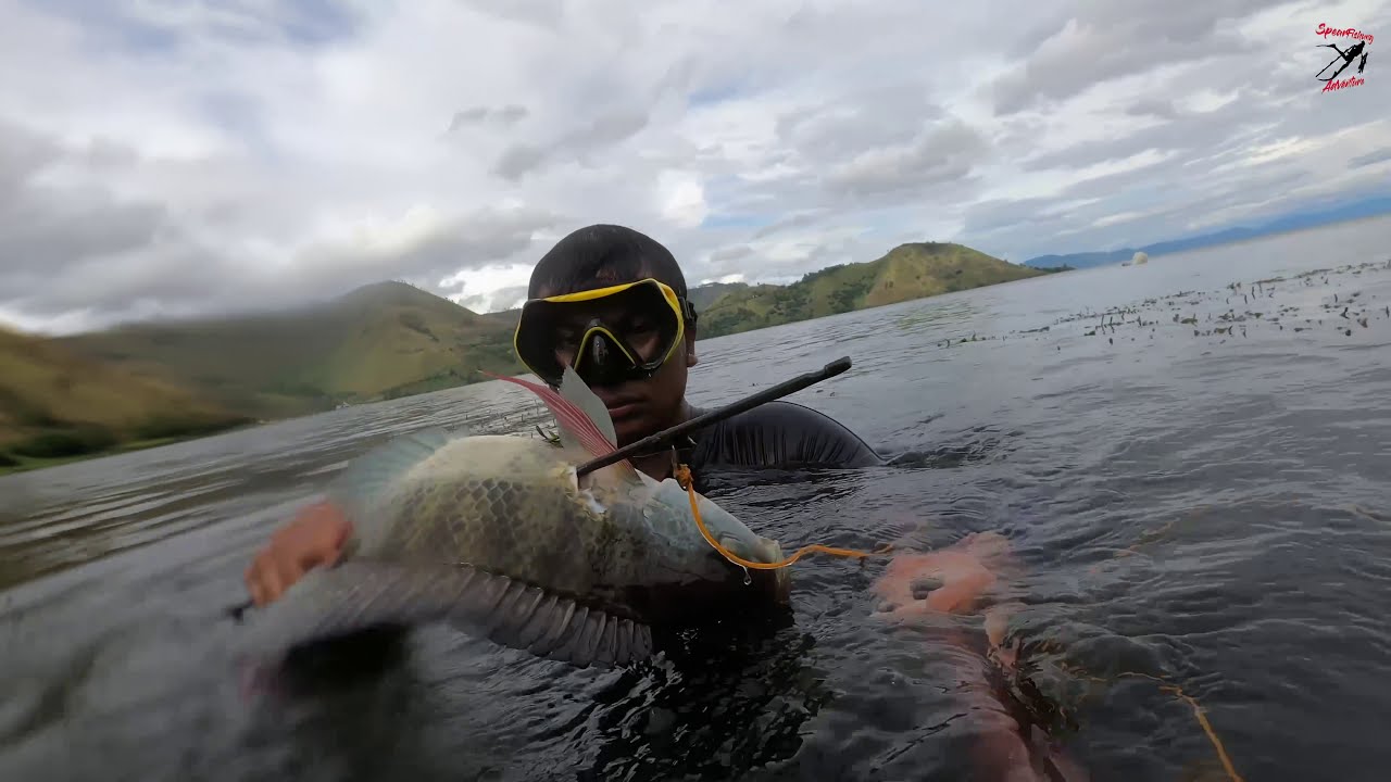 Menembak Ikan di danau toba Sekalian Hunting Lobster