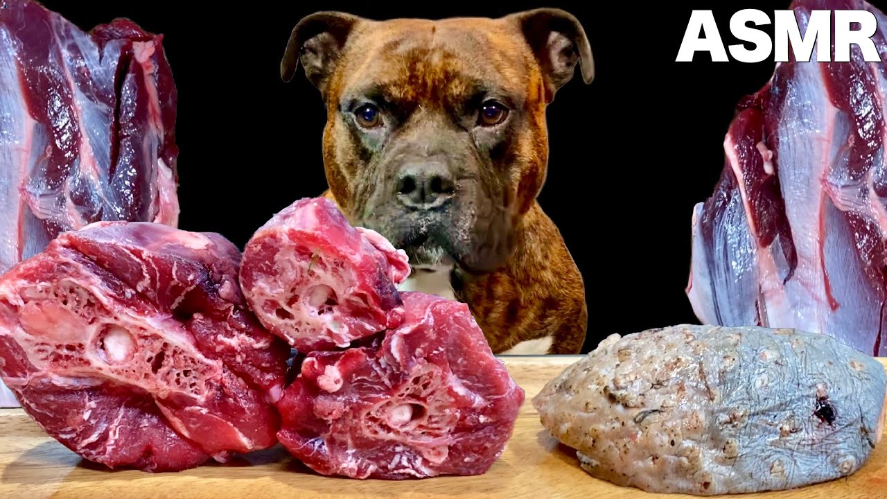 【大食い犬ASMR】ダチョウの生肉と骨付き肉を豪快に食べ尽くす！ 　Dog eats raw meat and bones