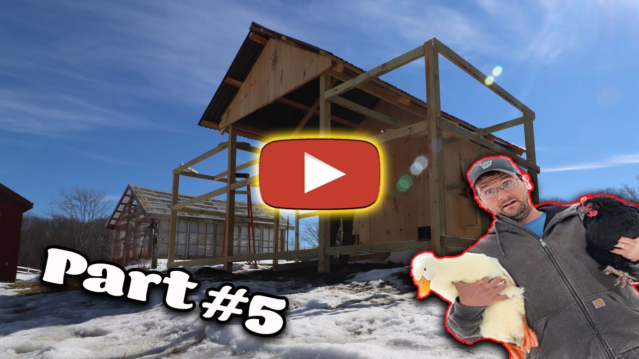 How to build a DUCK & Chicken combo coop - Part 5