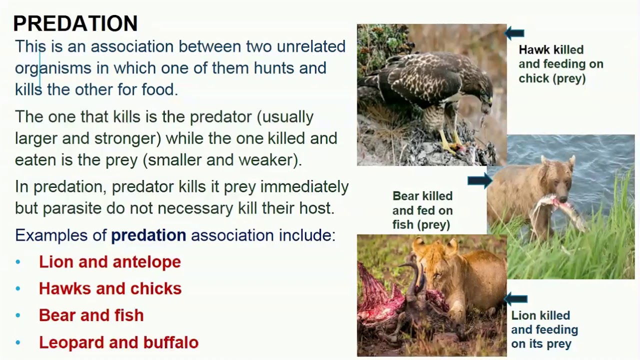 ECOLOGICAL MANAGEMENT