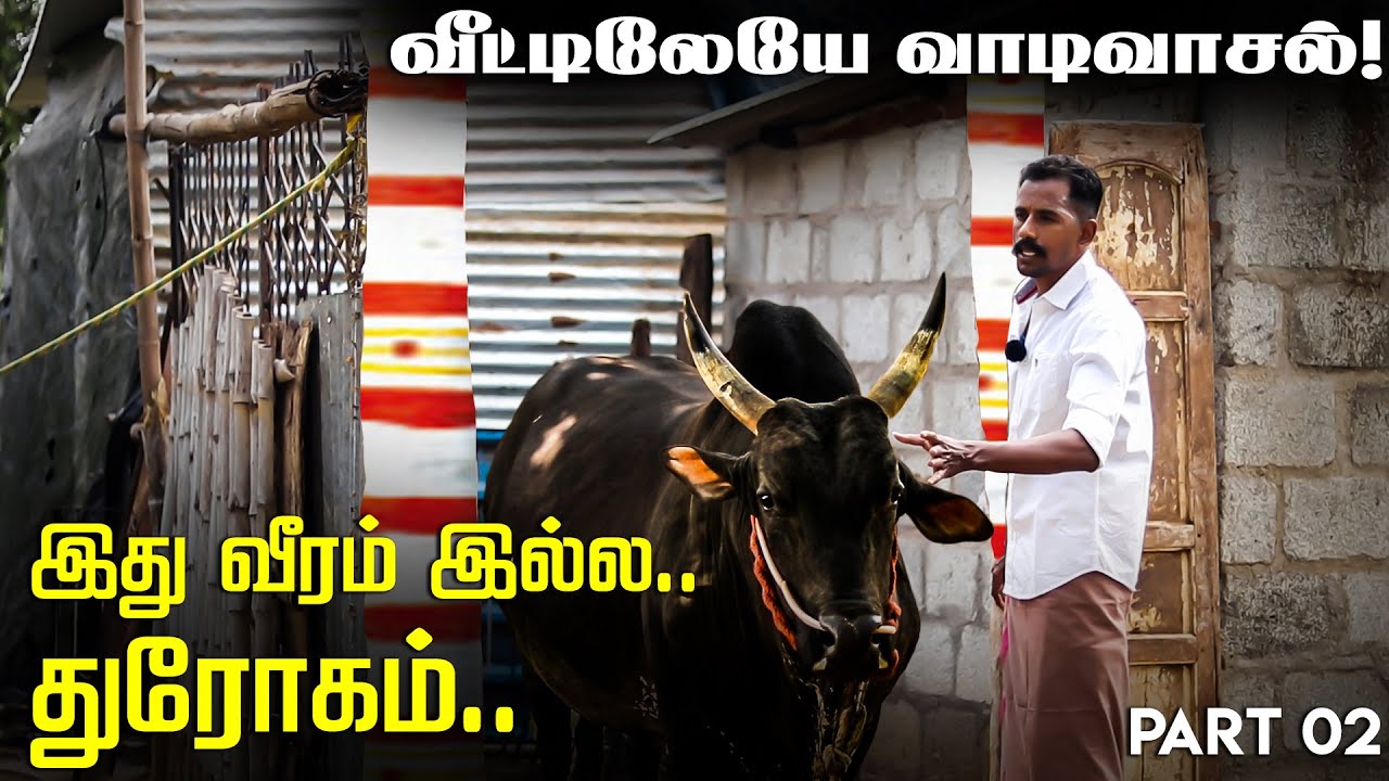 மரியாதை இல்லாம பேசுறாங்க... சகிச்சுக்கவே முடியல.. மாடுபுடி வீரர் Vinoth ஆதங்கம்! Jallikattu 2023