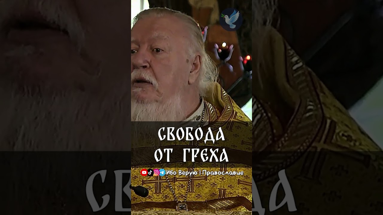  Свобода от греха | прот. Димитрий Смирнов @odmultiblog 